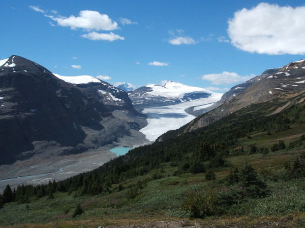 Pearson's trail - Columbia Icefields