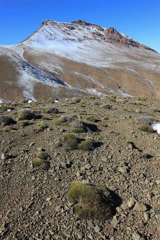 Aghouri (3.565m)