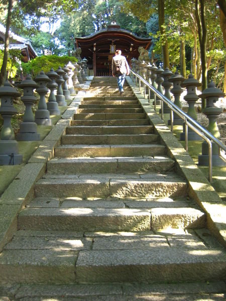 up to the temple