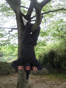 hanging ninja