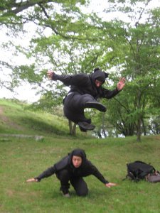 flying ninjas