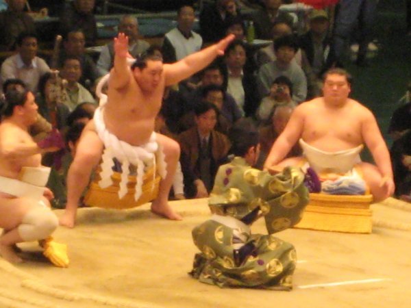perfect sumo image