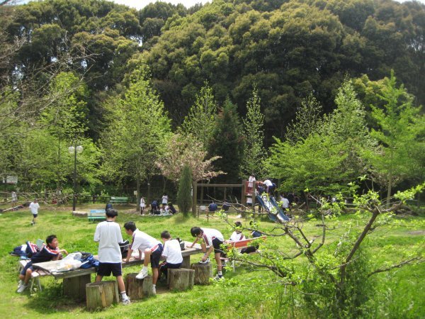 flower hill park