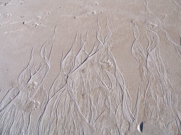 sand creations