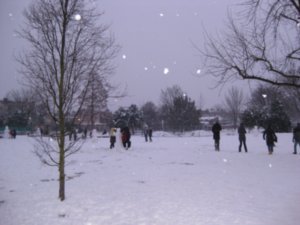 Snow fun in the park