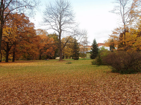 The Institute grounds in the fall