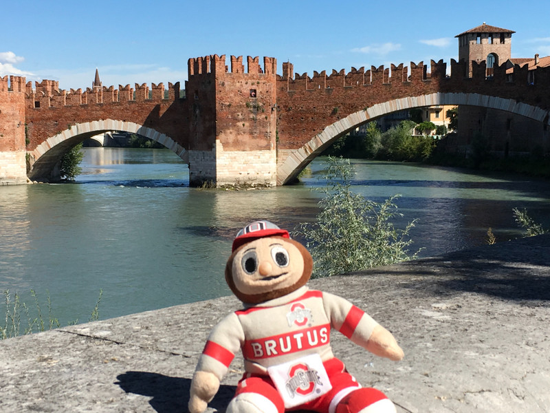 Brutus explores Verona Italy