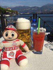 Brutus enjoys Bellagio