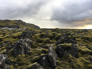 Moss-covered rocks