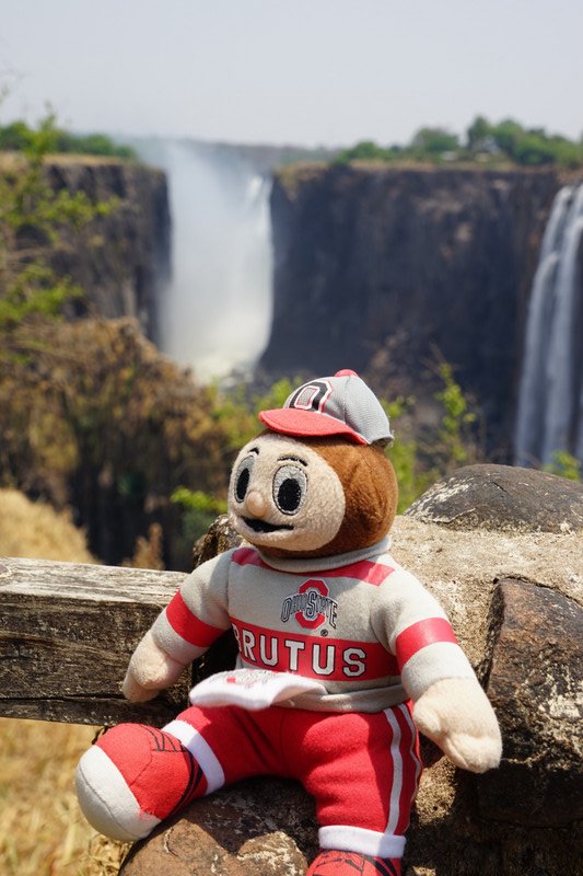 Brutus at the falls