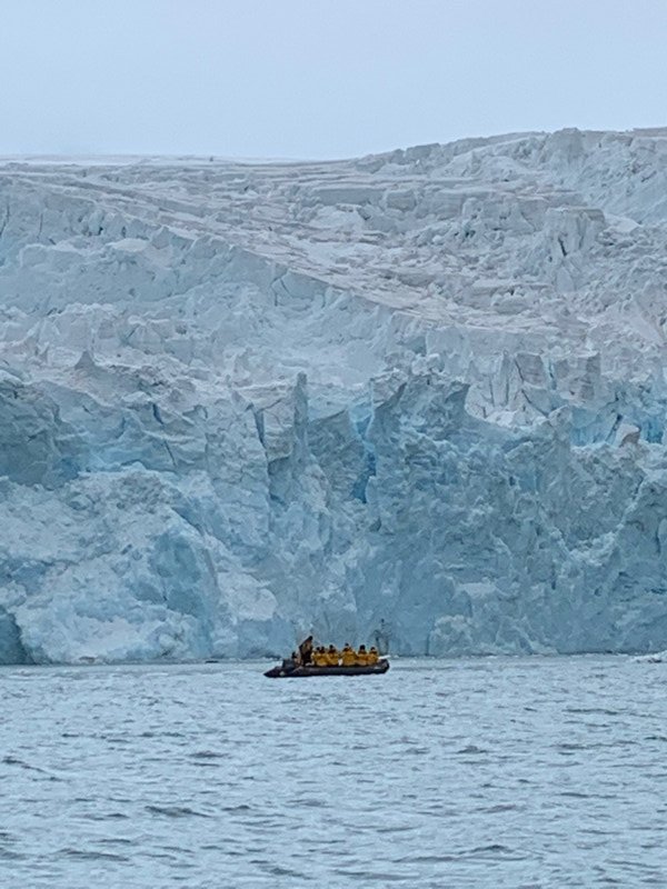 Chasing Iceberg's