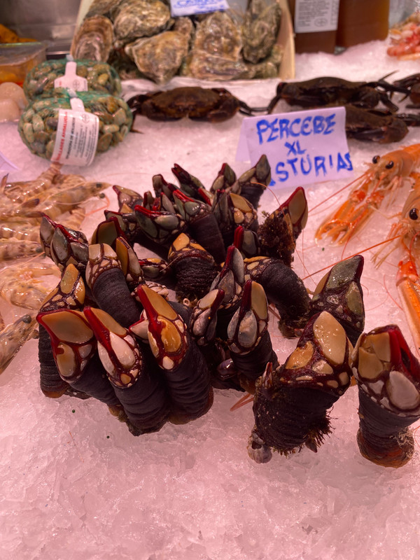 Central Market seafood