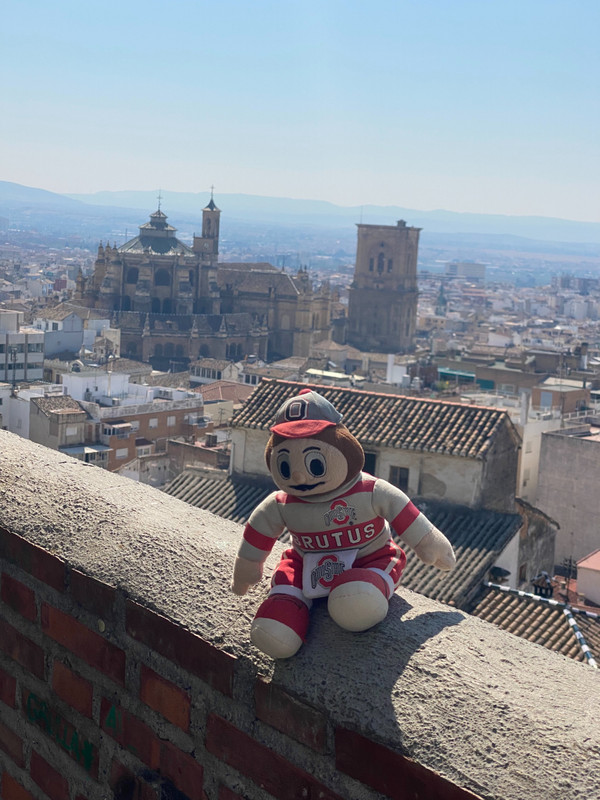 Brutus overlooking Granada