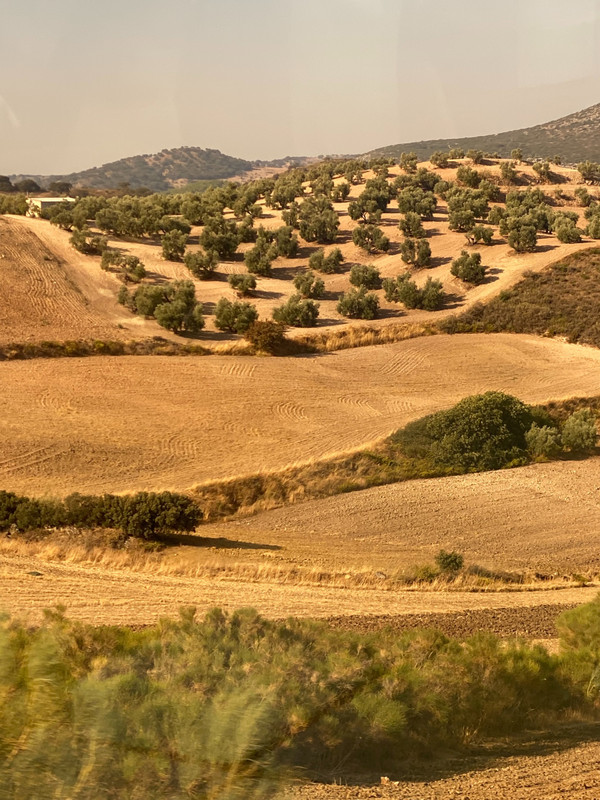 Spanish Countryside