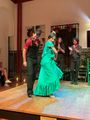 Passionate Flamenco Dancing