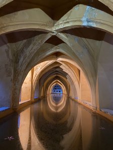 Reflections in the palace of the Granda alcazar