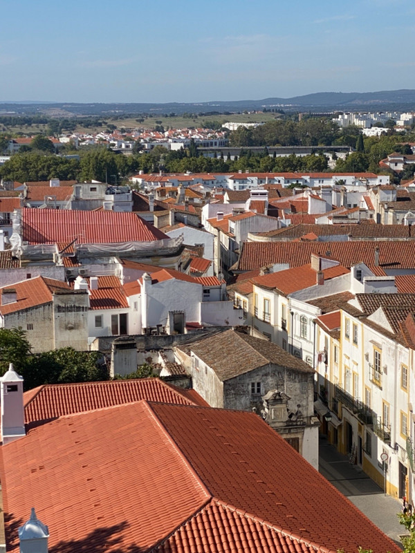 View from the roof of the cathedral
