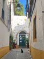 Alley Cat Way in Evora