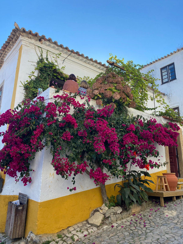Beautiful abodes in Obidos