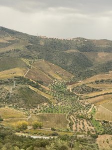 Hilltop view of the Duoro River valley