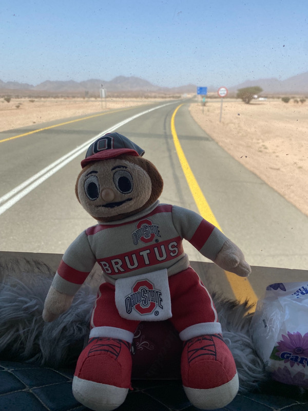 Brutus helps drive the bus