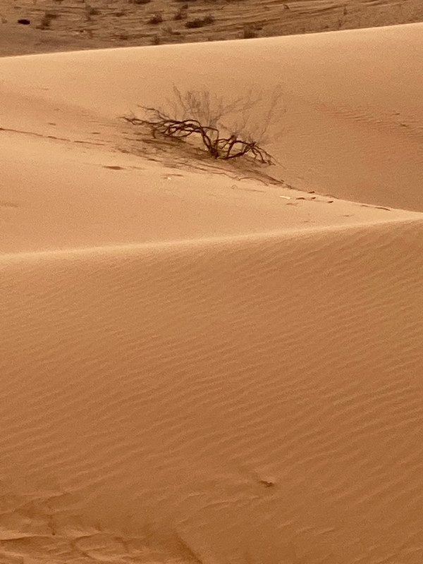 Miles of Sand