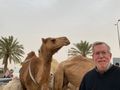 Enjoying the Camel Market