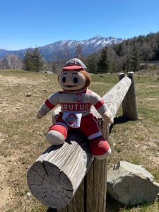 Brutus enjoys the mountains