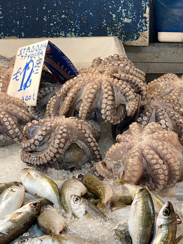 Market octopus