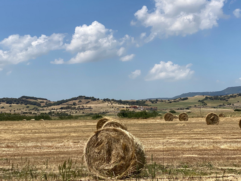 Sardinia Countryside