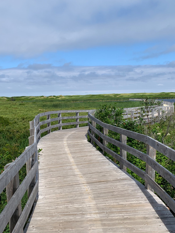 Boardwalk trail to the beach at Greenwich Dunes