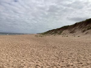 Sandy Beaches