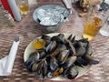 Mussels and more mussels