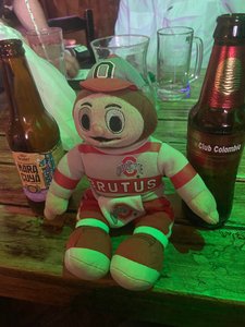 Brutus enjoying a cerveza
