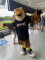Minor League mascots are the best!