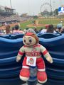 Brutus likes baseball too!