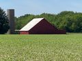 Hearty Farmlands of Illinois