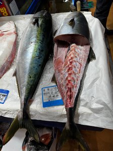 Market fresh fish!