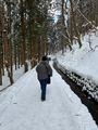 Path to the snow monkey park