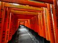 Thousand Tori Gates Kyoto