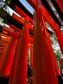 Fushimi Inari Taisha Sembon Torii 