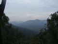 Scenic Overlook in Jungle