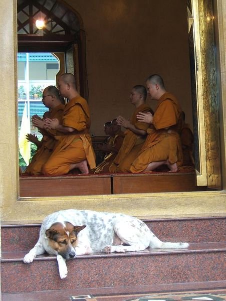 Monks at Temple