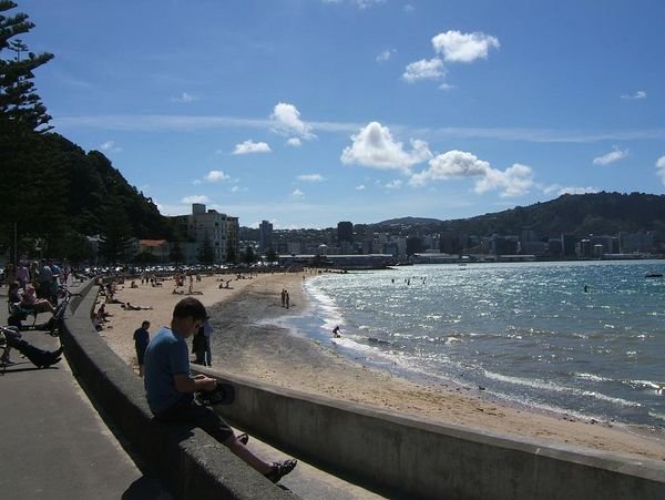 Wellington Boardwalk