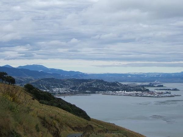 Nelson is a hiker's paradise