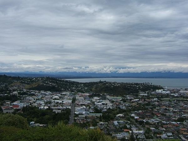 Overview of Nelson