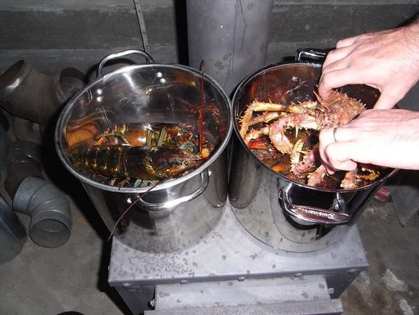 Lobster fest soon!