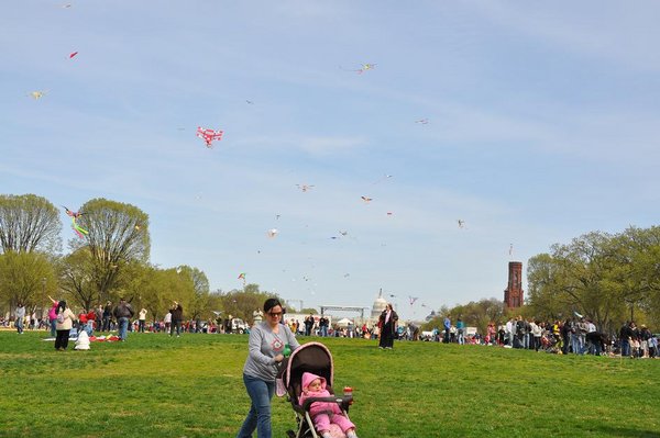 Kite Day in DC