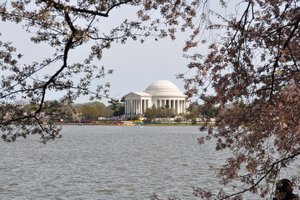 The Jefferson Monument