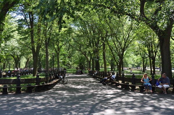 The lovely Central Park